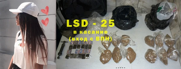 индика Абаза