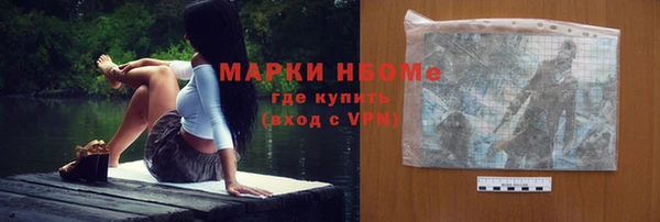 индика Абаза