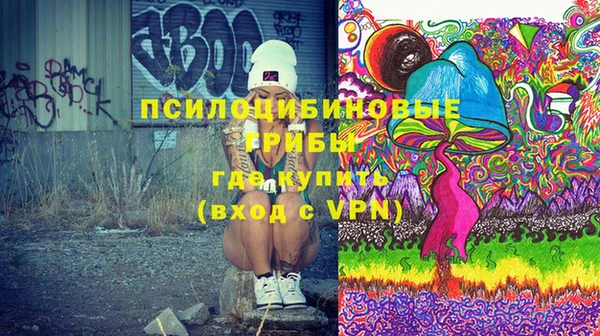 дурь Алзамай