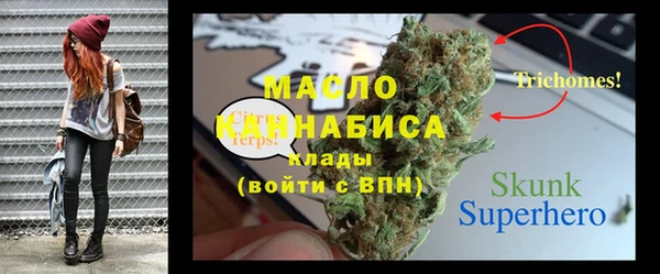 индика Абаза