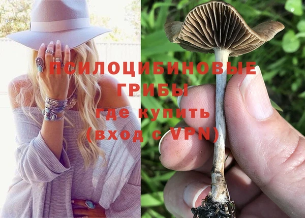 индика Алапаевск